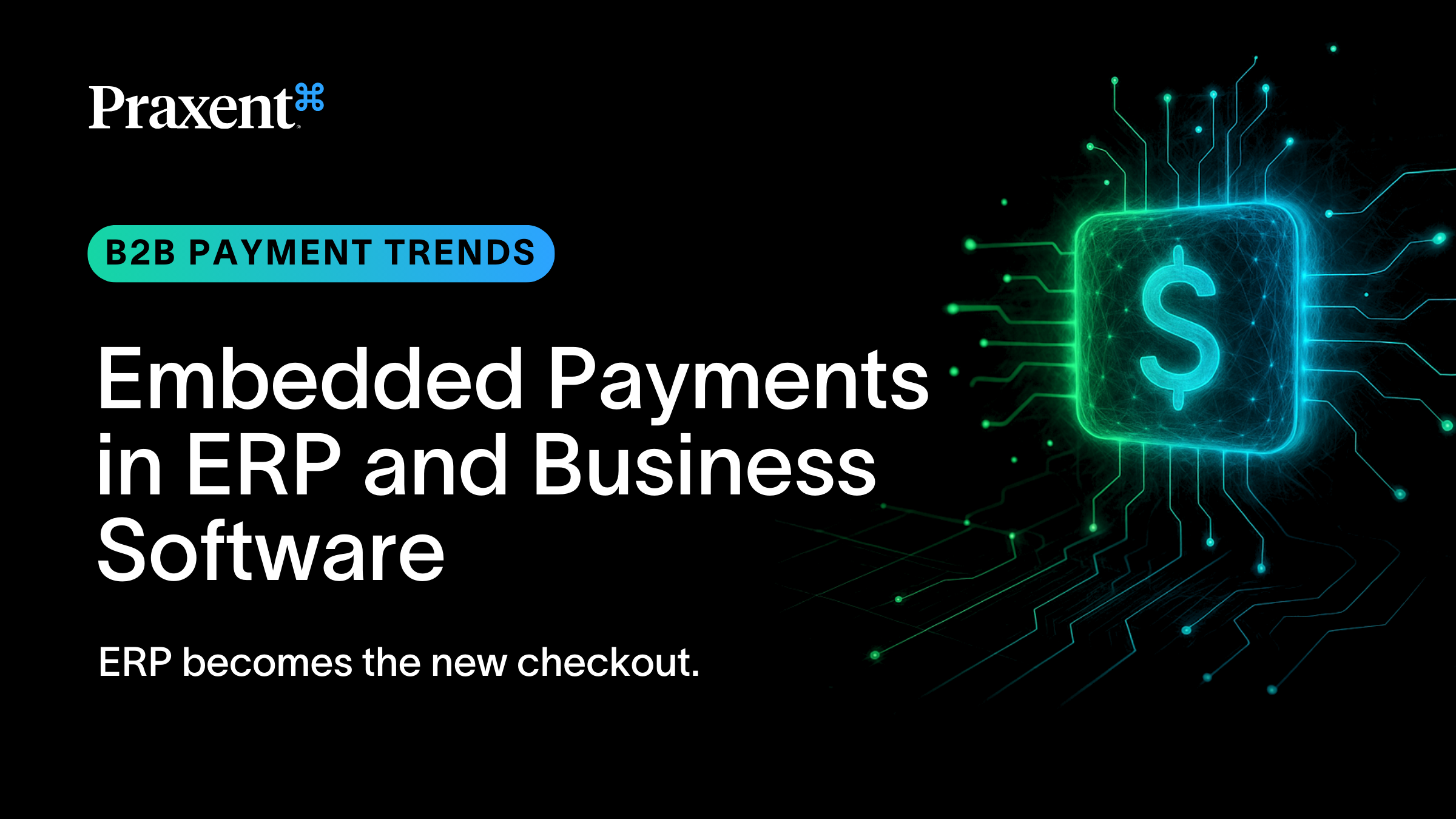 Embedded Payments in ERP and Business Software