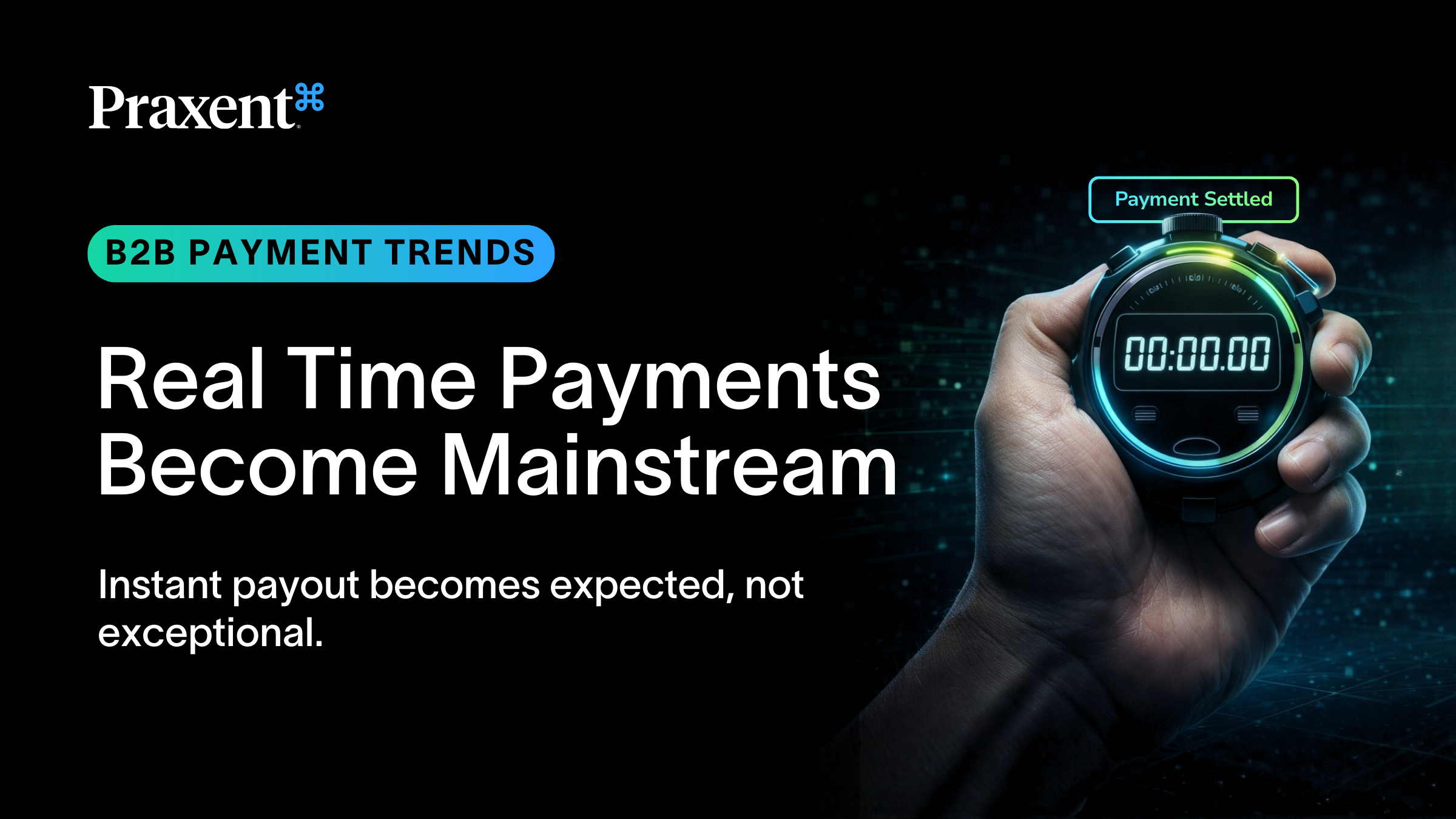 Real-Time Payments and Instant Payments in B2B Transactions